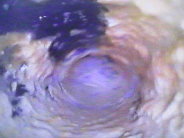 汚れ_排水管
