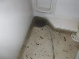 お風呂の排水から悪臭！？清掃事例のご紹介
