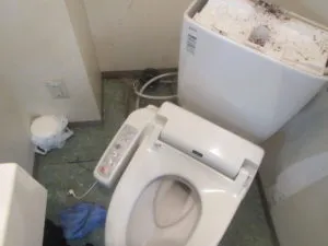 横浜市でのトイレ詰まり事例 ～原因はまさかのボールペン！？